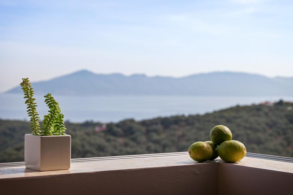 Olivia'S Villas Of Luxury Kalivia (Skiathos) Exterior foto